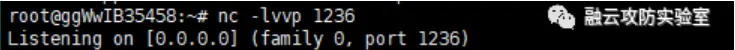 图片[5]-【】-webmin CVE-2020-35606-渗透云记 - 专注于网络安全与技术分享