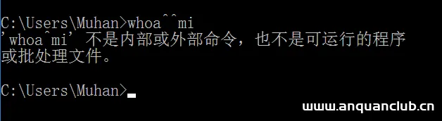 图片[2]-【内网渗透】cmd命令混淆 cmdbypass学习-渗透云记 - 专注于网络安全与技术分享
