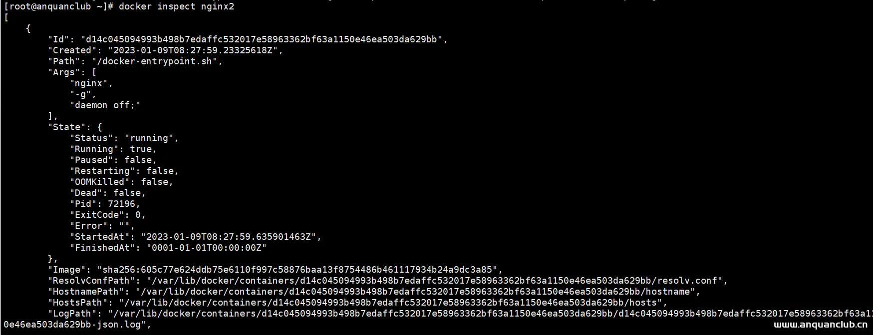 图片[3]-（5）docker容器常用管理命令-渗透云记 - 专注于网络安全与技术分享