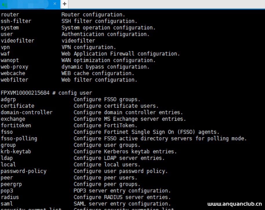 图片[3]-Fortinet FortiOS admin 远程命令执行漏洞-渗透云记 - 专注于网络安全与技术分享