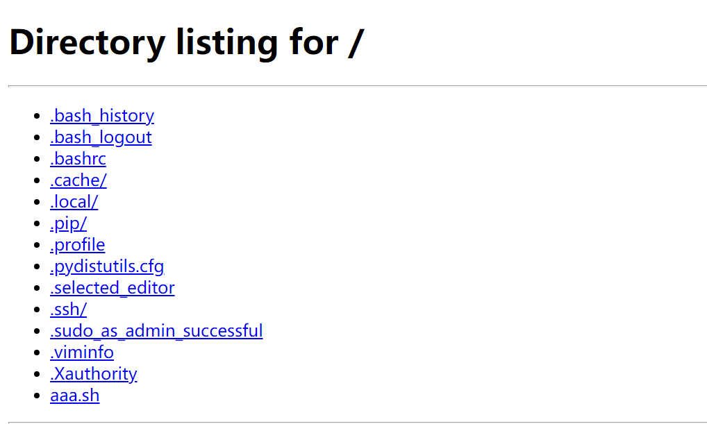 【第5天】反弹shell（不回显带外&正反向连接&防火墙出入站&文件下载）-渗透云记 - 专注于网络安全与技术分享
