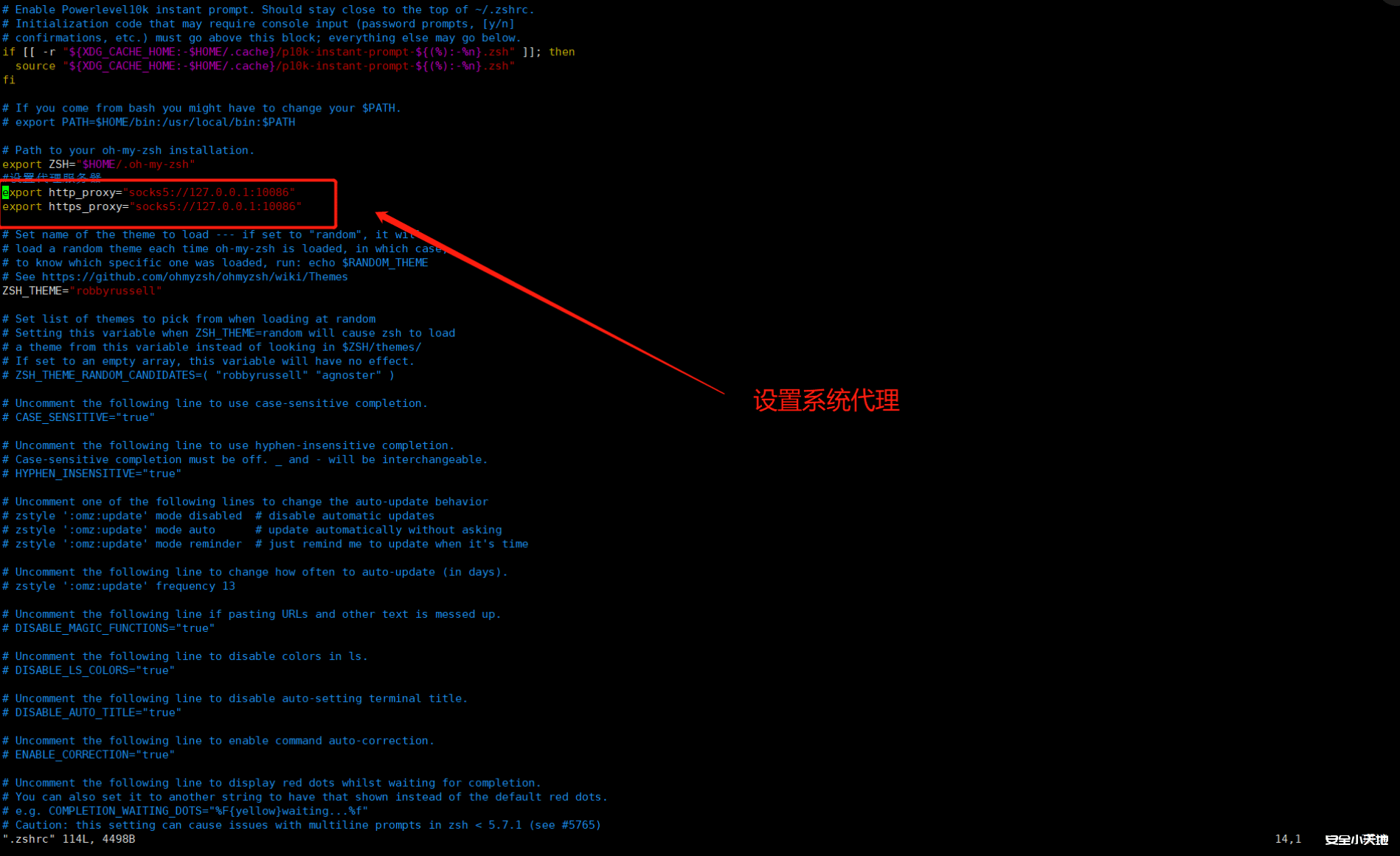 图片[3]-关于全局代理与局部代理的介绍-渗透云记 - 专注于网络安全与技术分享
