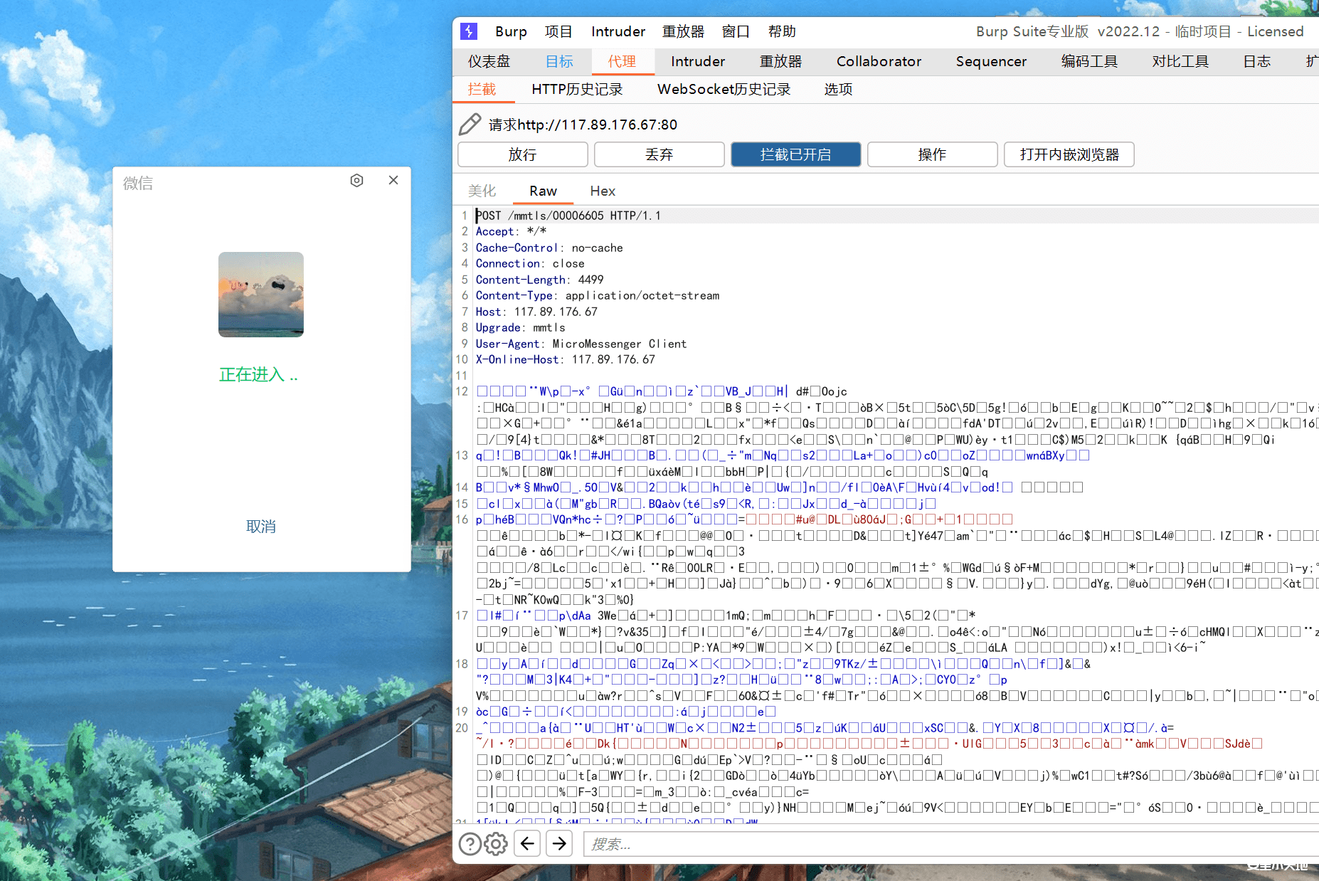 d2b5ca33bd113709