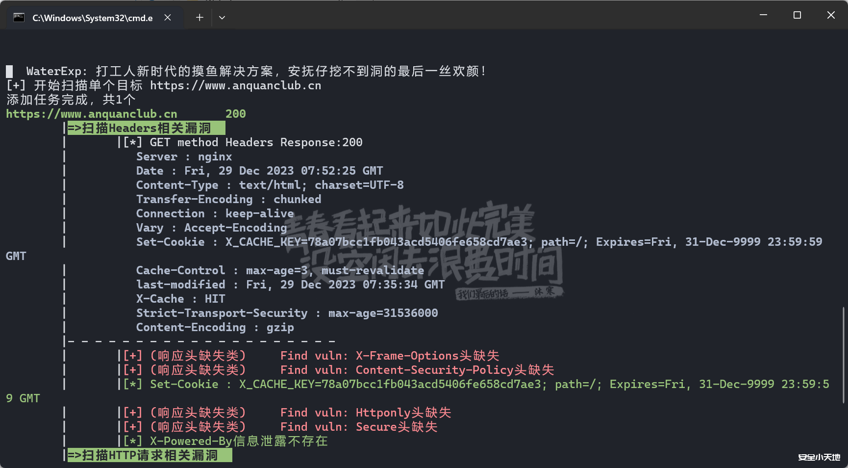 图片[2]-WaterExp：一款面向安服仔的扫描报告模板 和 碰瓷工具-渗透云记 - 专注于网络安全与技术分享