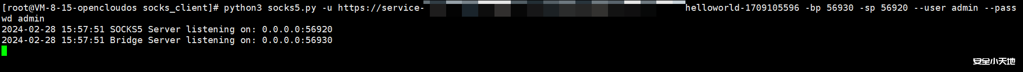 图片[7]-利用腾讯云函数实现快速搭建socks5代理-渗透云记 - 专注于网络安全与技术分享