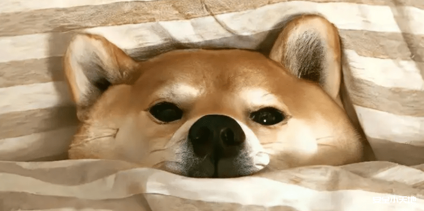 溯源小技巧之蜜罐抓取的脱敏手机号的还原思路-渗透云记 - 专注于网络安全与技术分享