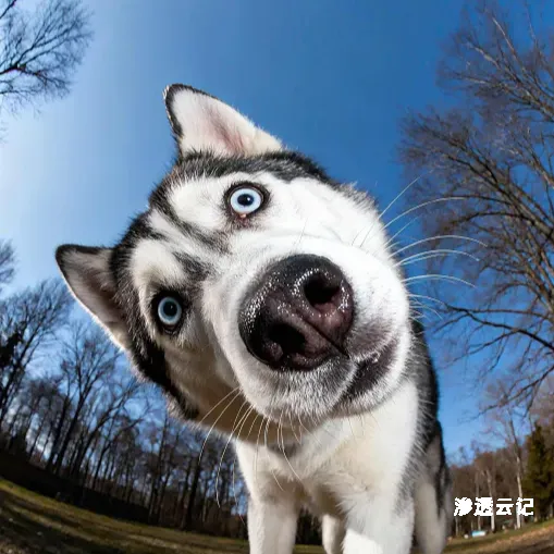 论坛板块分类  谈天说地-渗透云记 - 专注于网络安全与技术分享