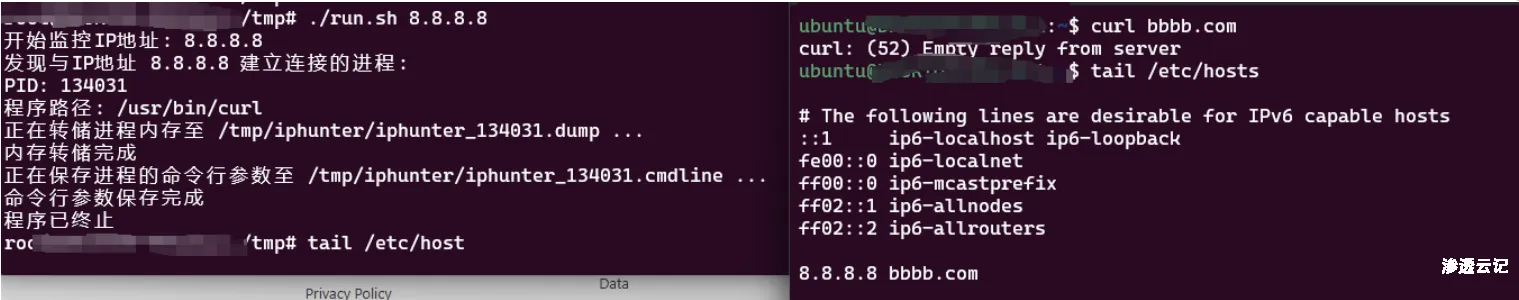 图片[2]-短暂网络活动(域名或IP)定位恶意进程-渗透云记 - 专注于网络安全与技术分享