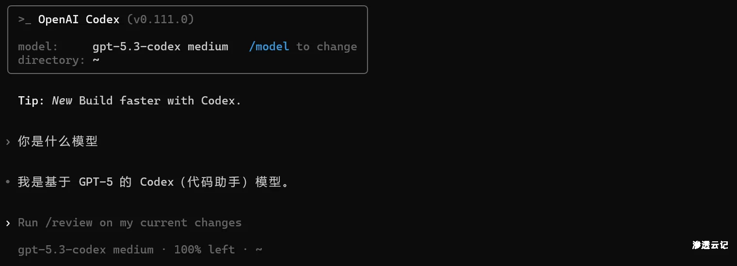 图片[7]-最新OpenAI账号批量注册教程：手把手教你实现Codex自由-渗透云记 - 专注于网络安全与技术分享