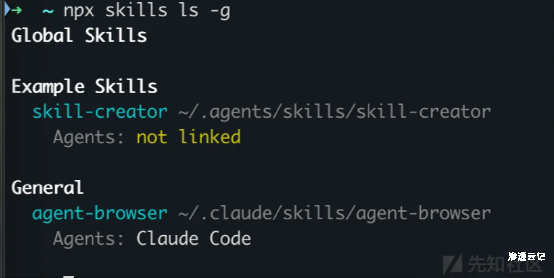 图片[3]-AI-Skill 自动进化的智能爆破工具（从零开始简单开发你第一个skill）-渗透云记 - 专注于网络安全与技术分享