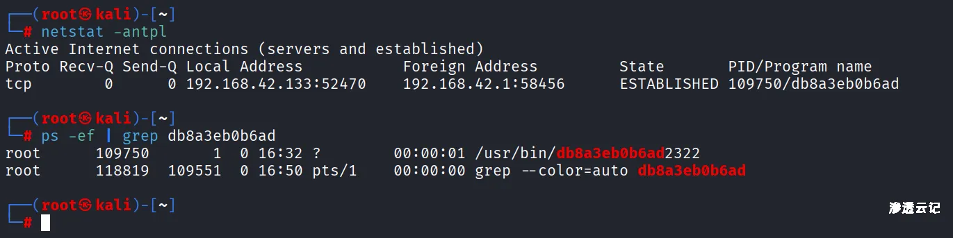 图片[6]-【工具更新】EasyShell v1.7版本更新，修复诸多bug，同时新增诸多新功能-渗透云记 - 专注于网络安全与技术分享